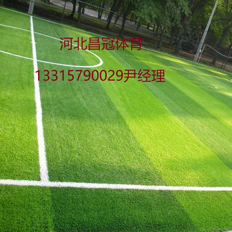 足球場(chǎng)人造草坪專業(yè)鋪裝