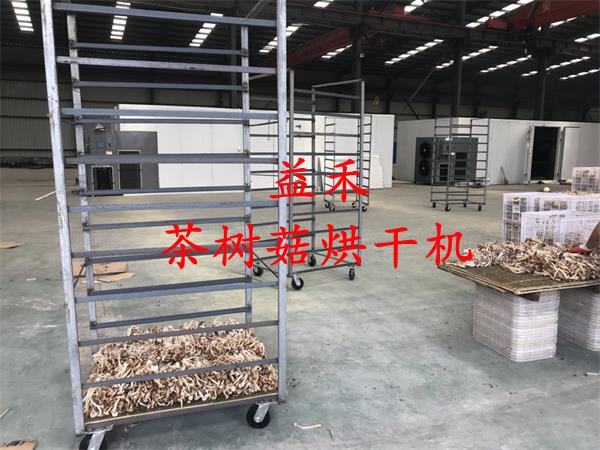 智能茶樹菇烘干機 茶樹菇干燥設(shè)備