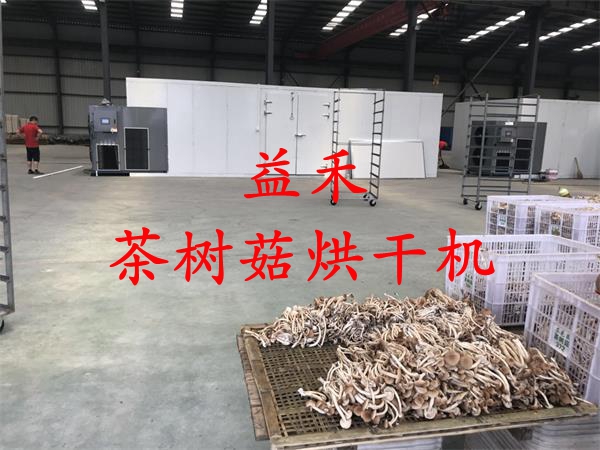 智能茶樹菇烘干機 茶樹菇干燥設(shè)備