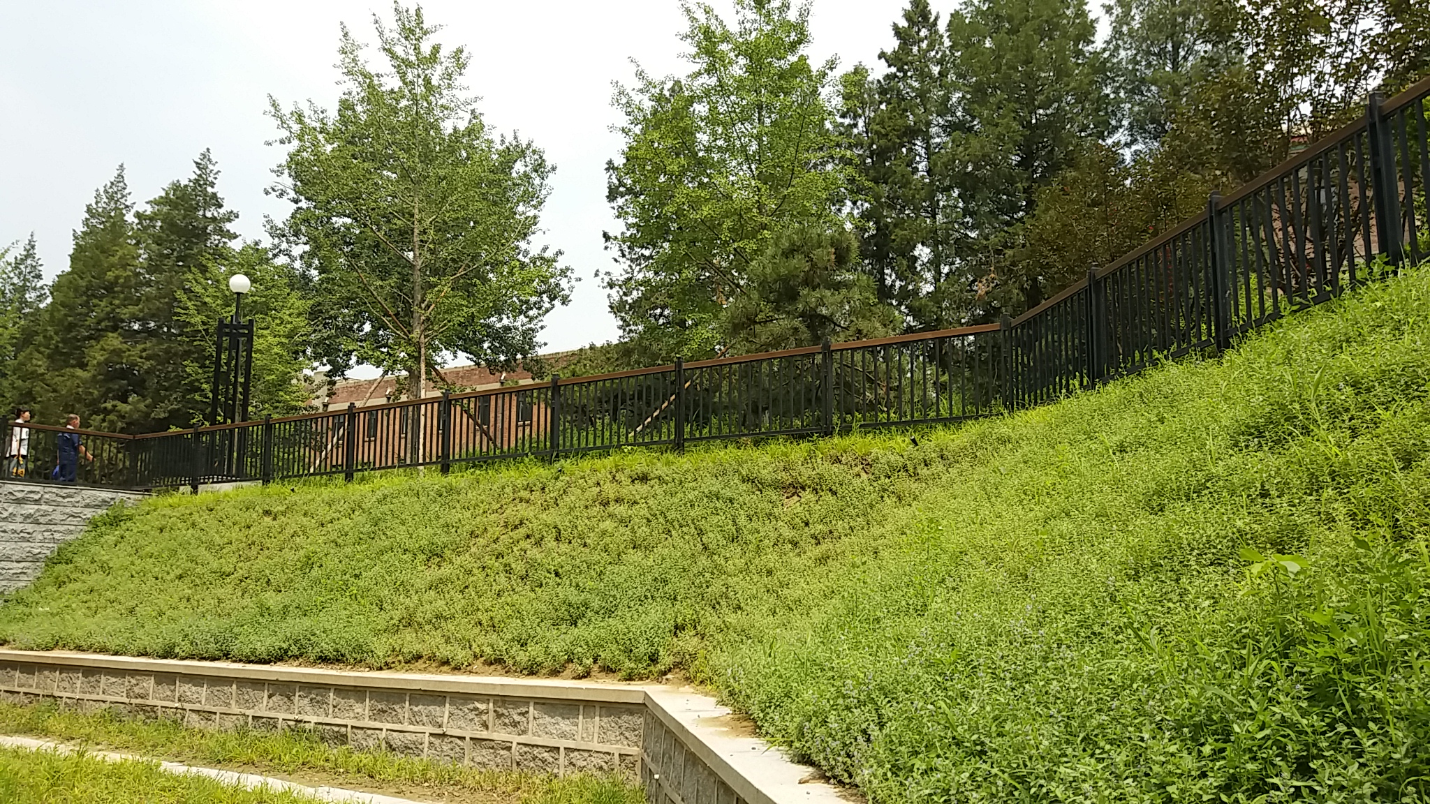 陜西邊坡綠化隊(duì)伍/噴播*木纖維