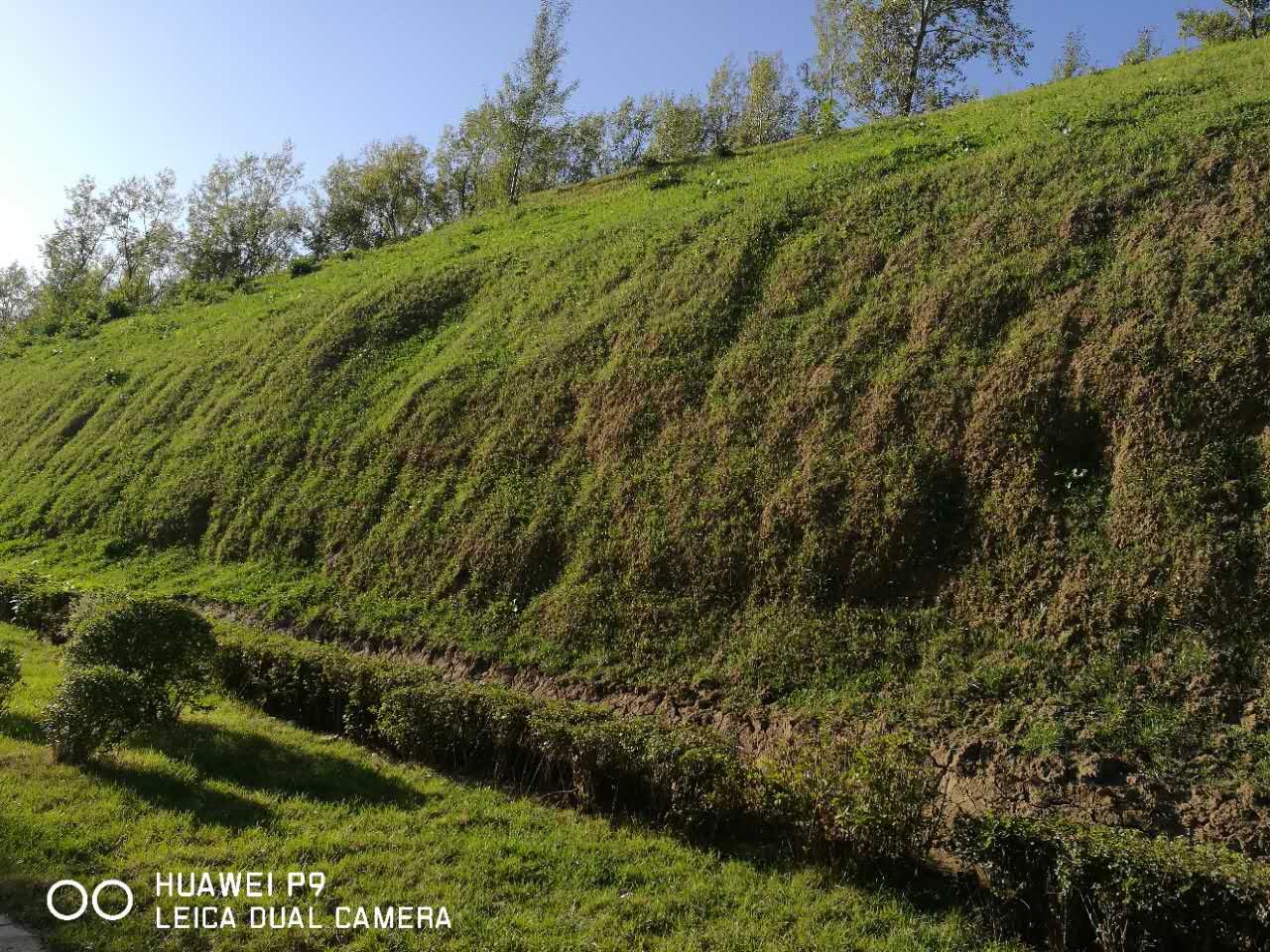 植生袋-批發(fā)-價(jià)格-哪家好