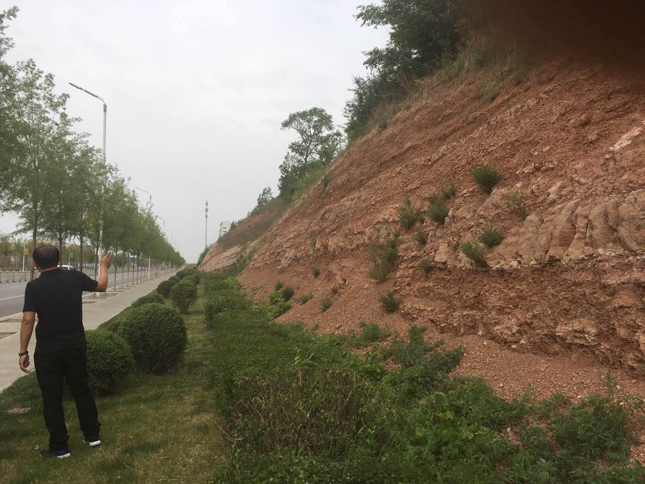 植生袋-批發(fā)-價(jià)格-哪家好
