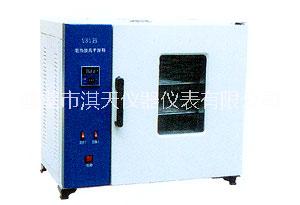 鶴壁淇天儀器儀表101系列數(shù)顯鼓風(fēng)干燥箱