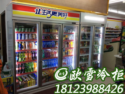 北京有哪些商用飲料保鮮柜品牌的旗艦店