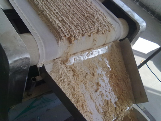 廣州粉料微波*機廠家