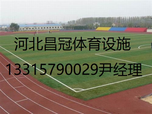 足球場(chǎng)人造草坪廠家施工