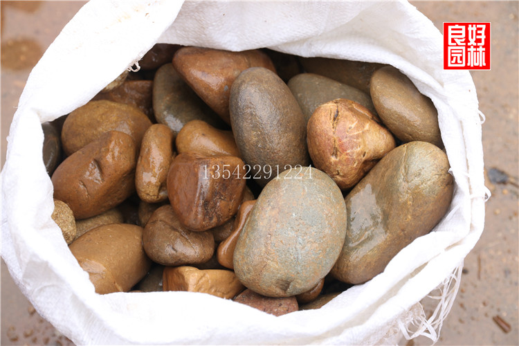 河卵石批發(fā)價(jià)格 河卵石價(jià)格，深圳鵝卵石，各種河卵石