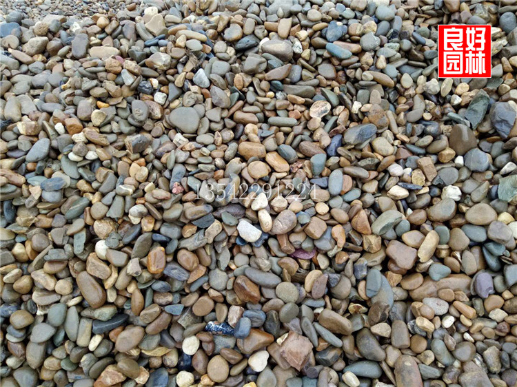 河卵石批發(fā)價(jià)格 河卵石價(jià)格，深圳鵝卵石，各種河卵石