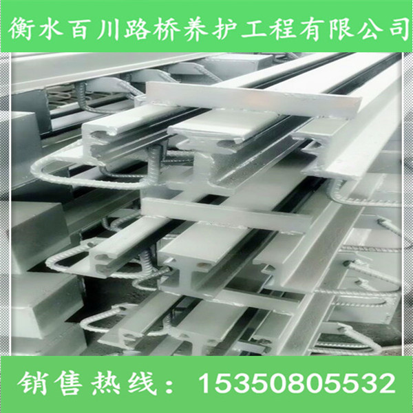 橋梁伸縮縫安裝更換 選衡水百川 專業(yè)施工