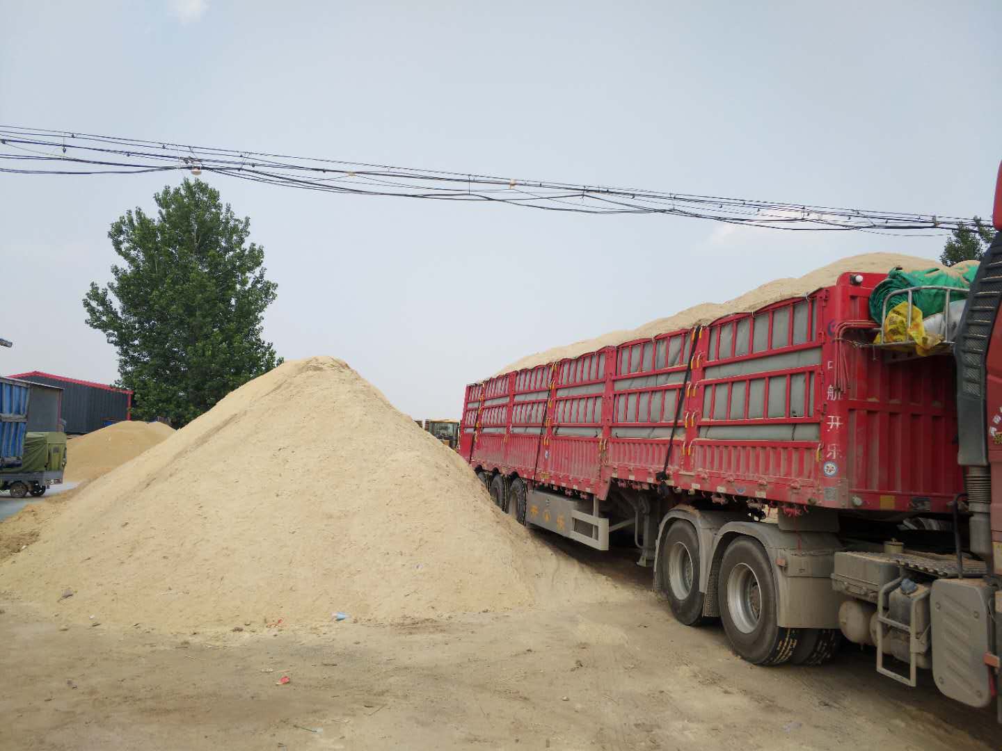 曹縣鋸末生產(chǎn)廠家 鋸末供應(yīng)商 鋸末廠家直銷(xiāo)