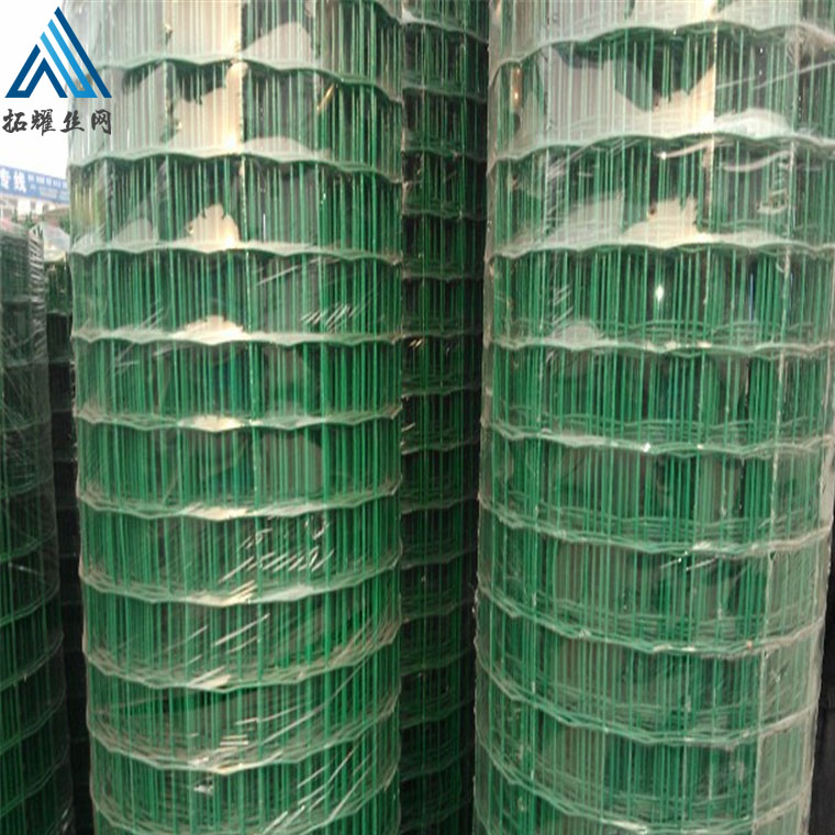 養(yǎng)雞網(wǎng)農(nóng)牧網(wǎng) 圈山養(yǎng)雞網(wǎng)