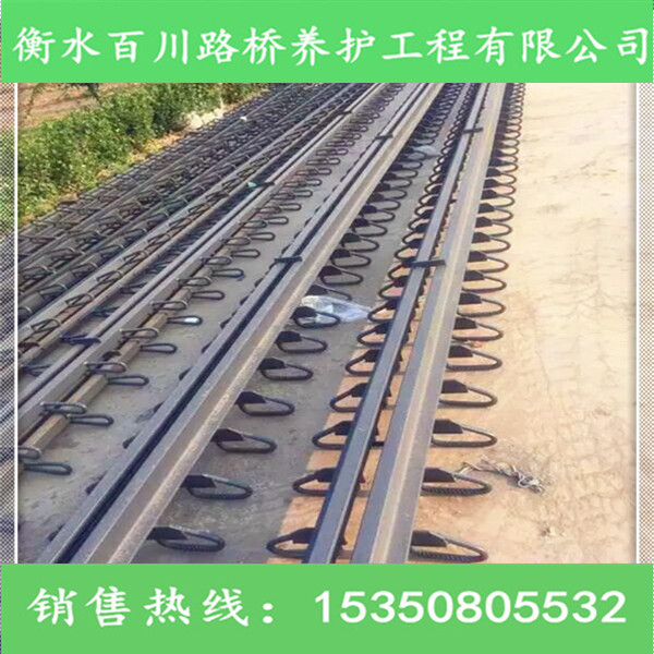 橋梁伸縮縫安裝更換 選衡水百川 專業(yè)施工