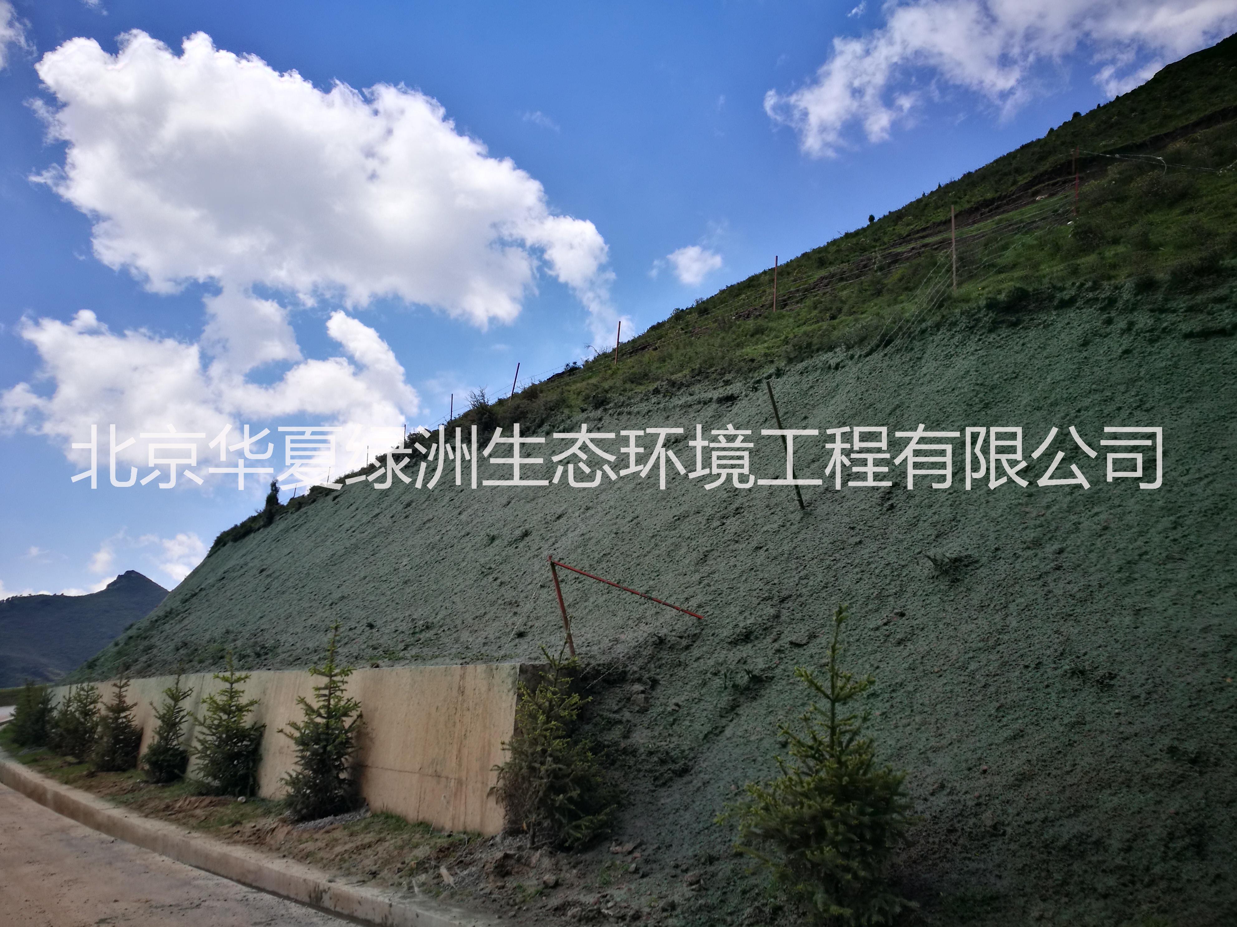 北京華夏綠洲