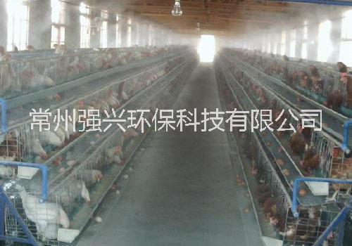 養(yǎng)殖場(chǎng)降溫除臭