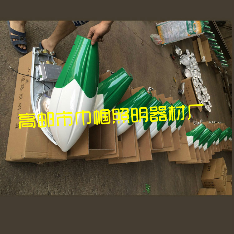 江蘇路燈廠家   高頻無極燈6  8 9 10米單臂 道路照明燈 馬路燈特價