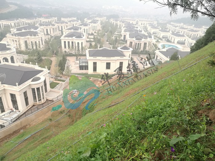 噴播綠化技術(shù) 北京噴播綠化技術(shù)