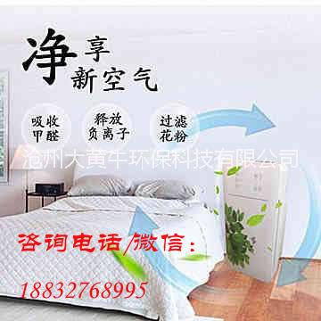 車載凈化器滄州車載凈化器 空氣凈化器