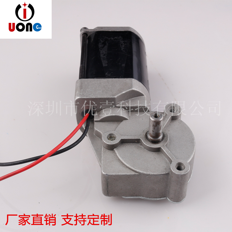 蝸輪蝸桿直流減速電機(jī)自鎖DC24V直流電機(jī) 金屬齒輪 有刷電機(jī)