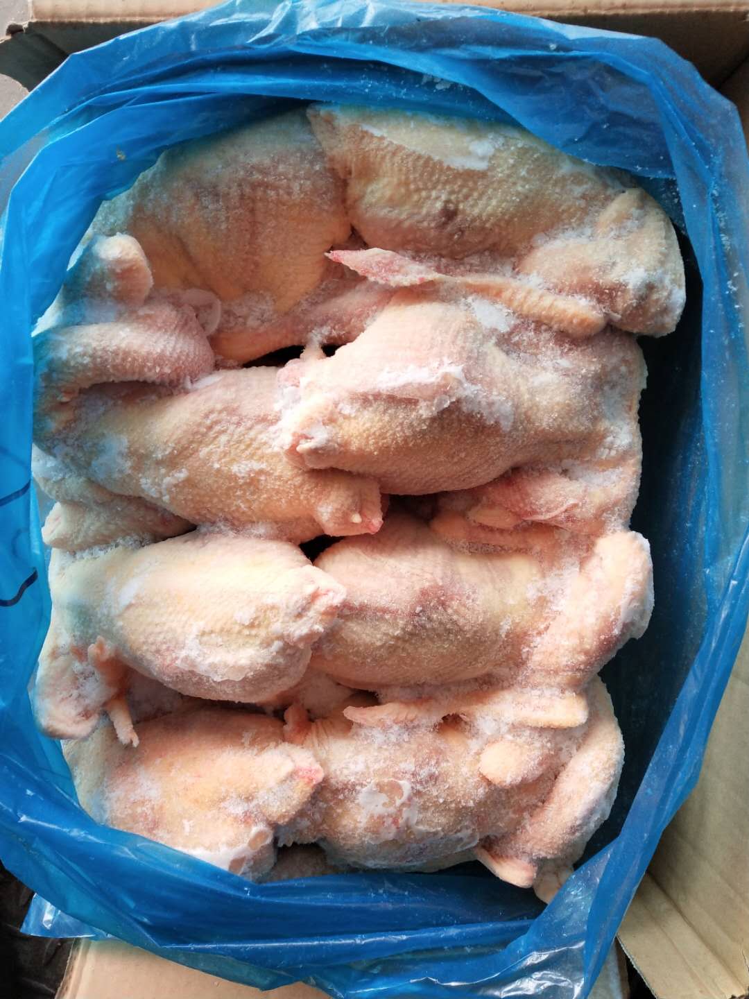 種雞分割廠家   白條雞