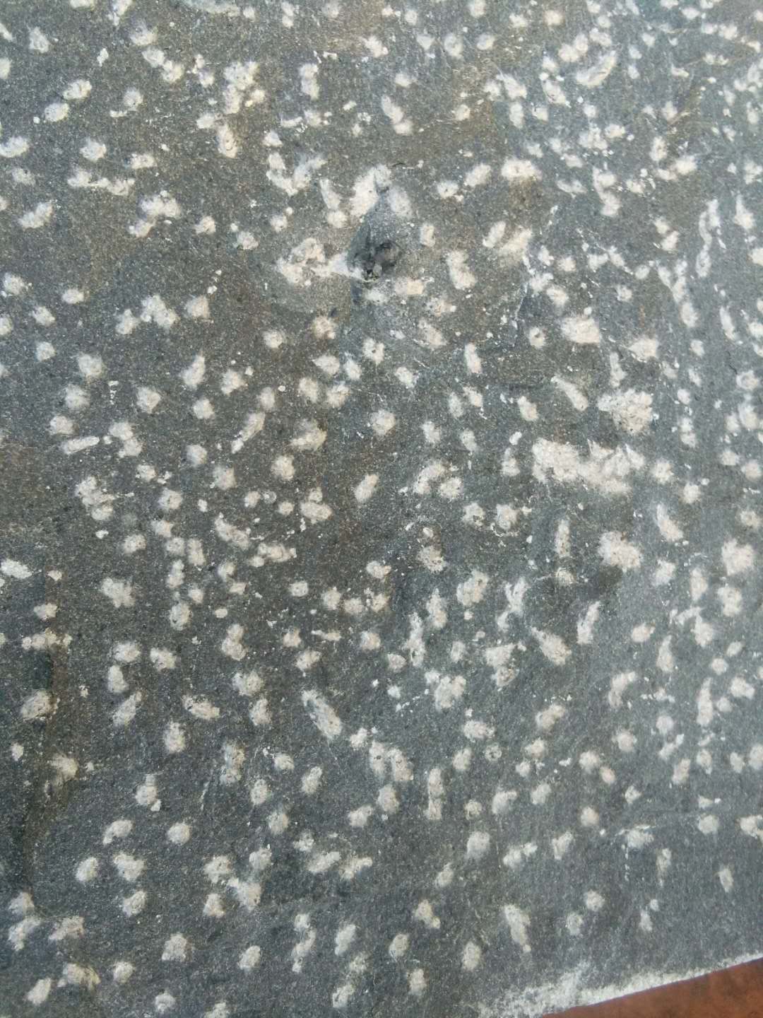 全國(guó)直銷 供應(yīng)內(nèi)蒙優(yōu)質(zhì)蒙古黑光面石材 內(nèi)蒙中國(guó)黑工程哪家好