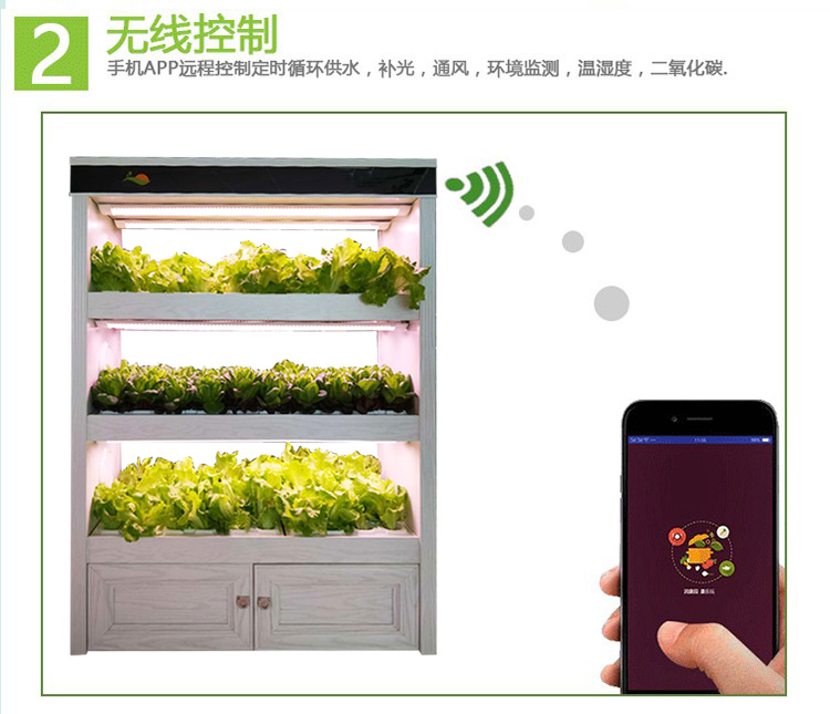 全智能植物工廠生態(tài)菜養(yǎng)柜無土栽培 全智能植物工廠生態(tài)菜養(yǎng)柜現(xiàn)代智能