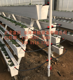 廠家直銷種植草莓*槽 育苗槽  蔬菜栽培槽