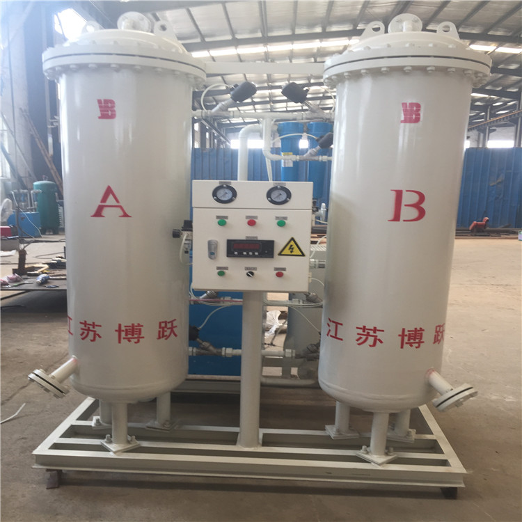 *制氮機(jī) 制氮機(jī)廠家 江蘇博躍制氮機(jī) PSA變壓吸附制氮機(jī) 制氮裝置 制氮機(jī)售后