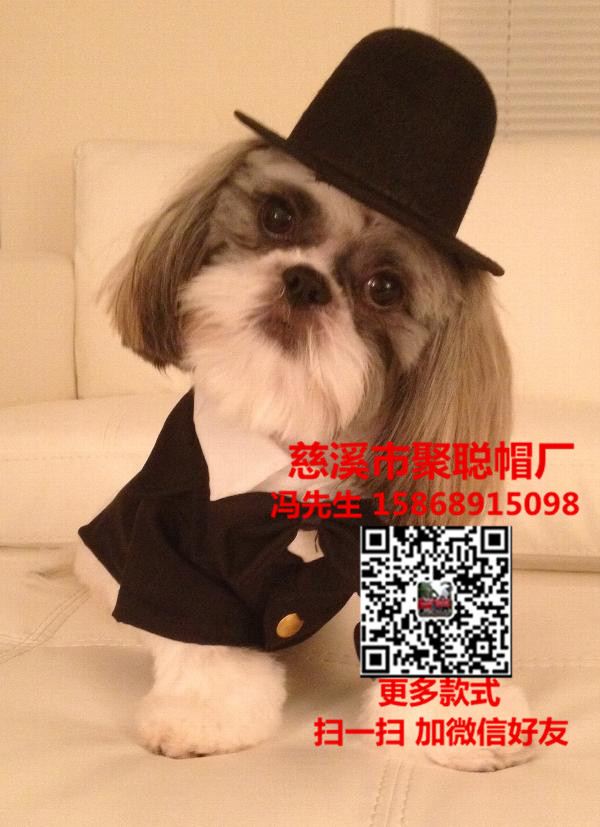 寵物用品價(jià)格寵物用品批發(fā)寵物用品廠家寵物帽定做聚聰帽廠