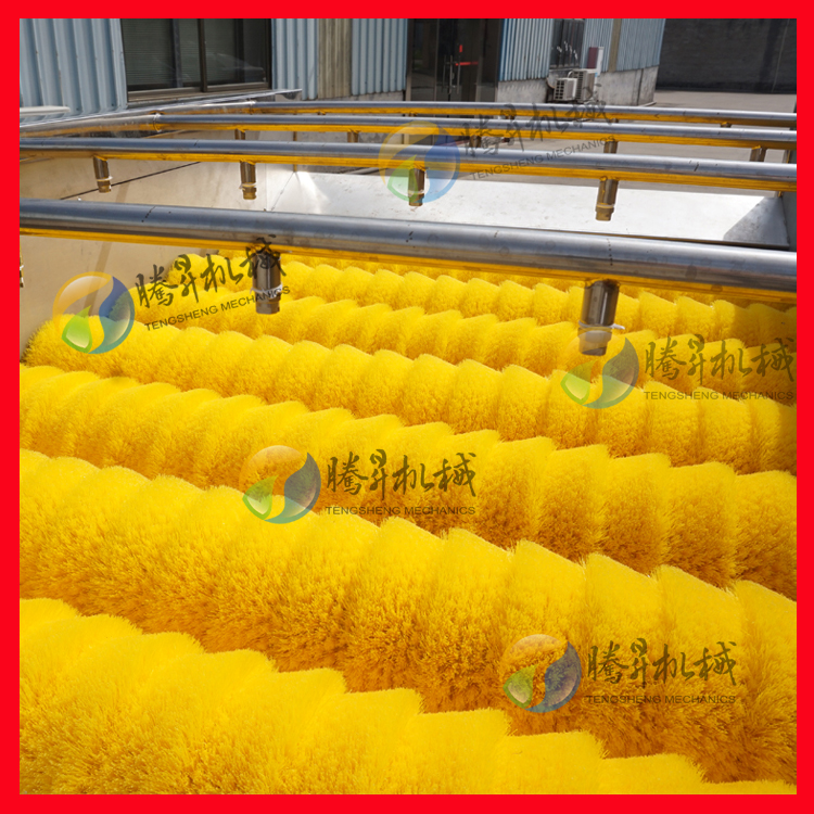 洗果機 毛刷清洗機 電動毛刷噴淋清洗機