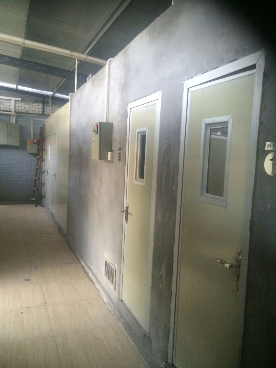 恒溫室養(yǎng)龜設(shè)備