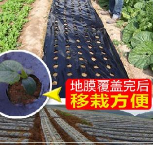 [雷馬塑料]云農(nóng)牌農(nóng)用塑料打孔黑地膜 除草保溫保濕地膜 可訂做 云農(nóng)牌打孔 云農(nóng)牌打孔黑地膜