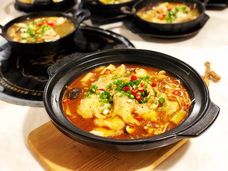 啵啵魚(yú)-*啵啵魚(yú)技術(shù)