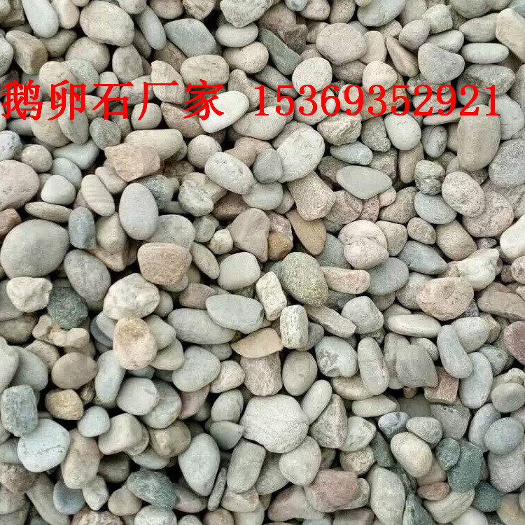 鵝卵石廠家電話 天然鵝卵石價格 黑色白色鵝卵石 雨花石用途及功效