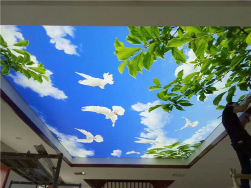 供應(yīng)軟膜天花 軟膜天花透光膜 卡布燈箱