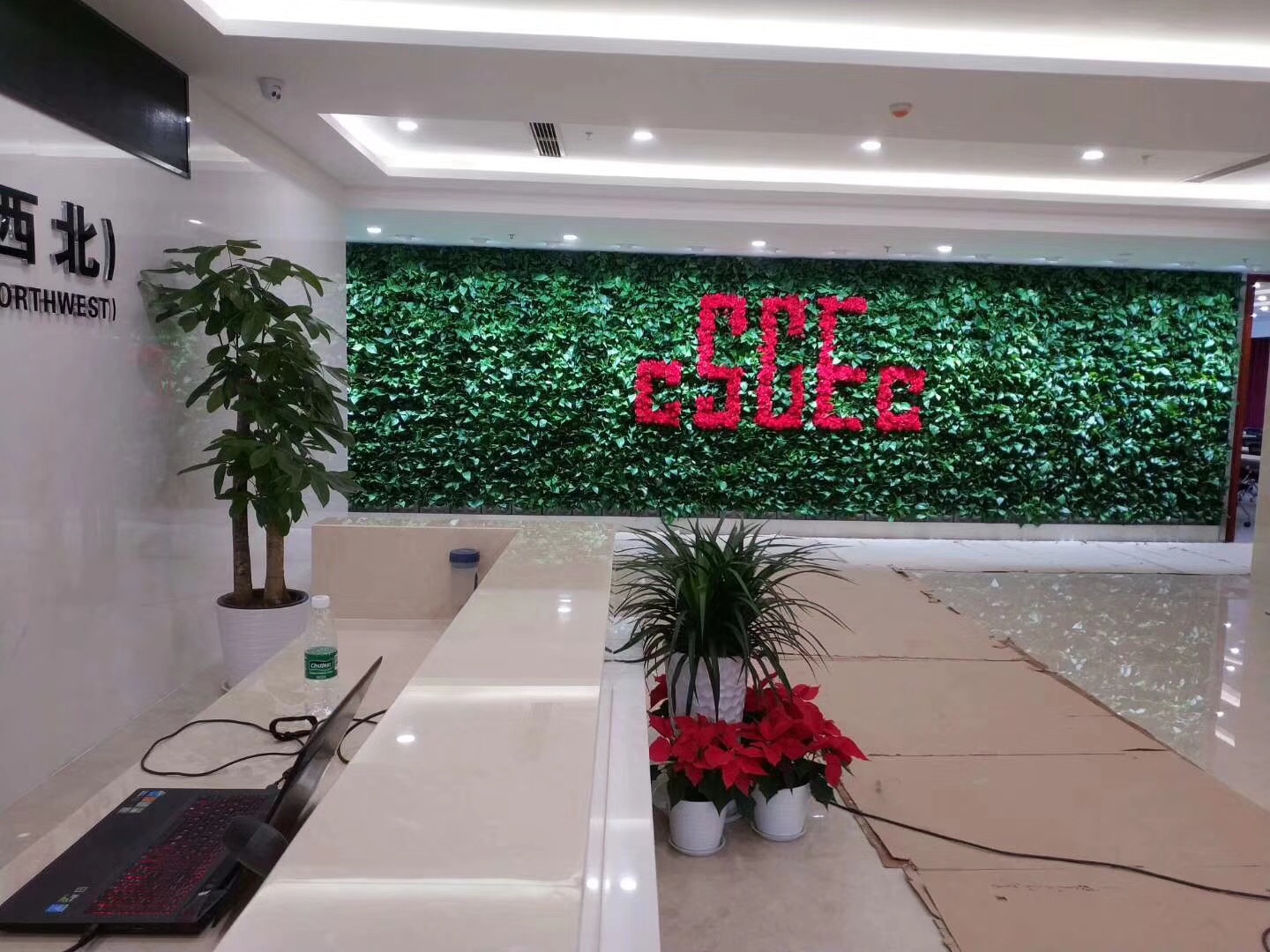 立體綠化 生態(tài)雨林缸  生態(tài)綠植墻 綠雕 雕塑造景