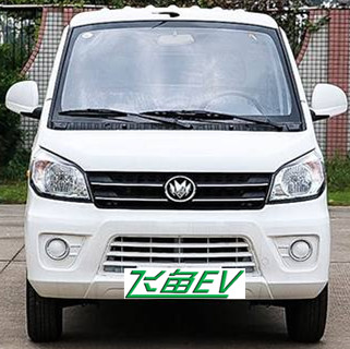 飛魚汽車服務(wù)紅星V2純電動(dòng)物流車