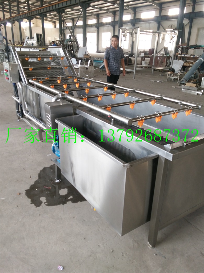 氣泡蔬菜清洗機 凈菜加工流水線 山楂橘子翻浪清洗機