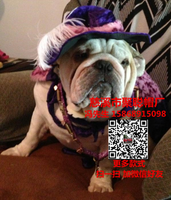 寵物用品寵物用品廠家寵物用品批發(fā)價格寵物用品生產(chǎn)廠家聚聰帽廠