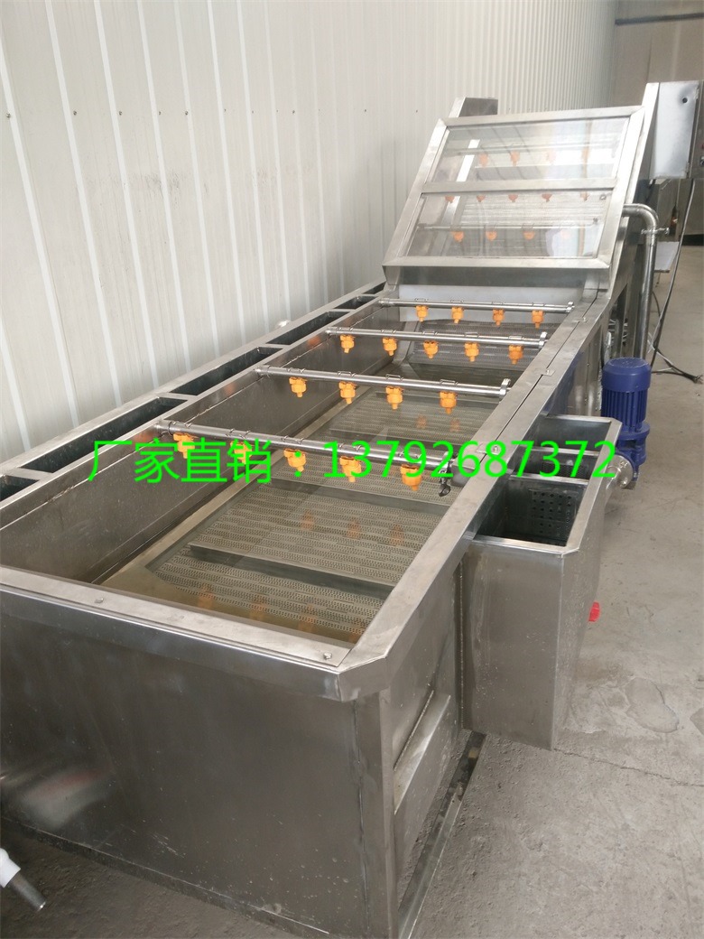 蘑菇菌類高壓氣泡清洗機 草莓無殘傷翻浪清洗機 韭菜芹菜網(wǎng)帶清洗機