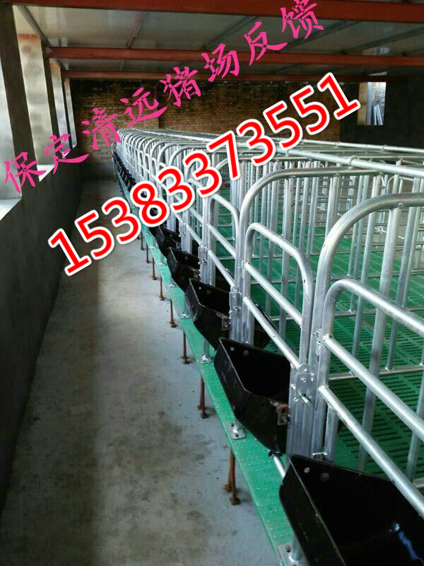 養(yǎng)豬育肥復(fù)合定位欄豬床全離地豬床