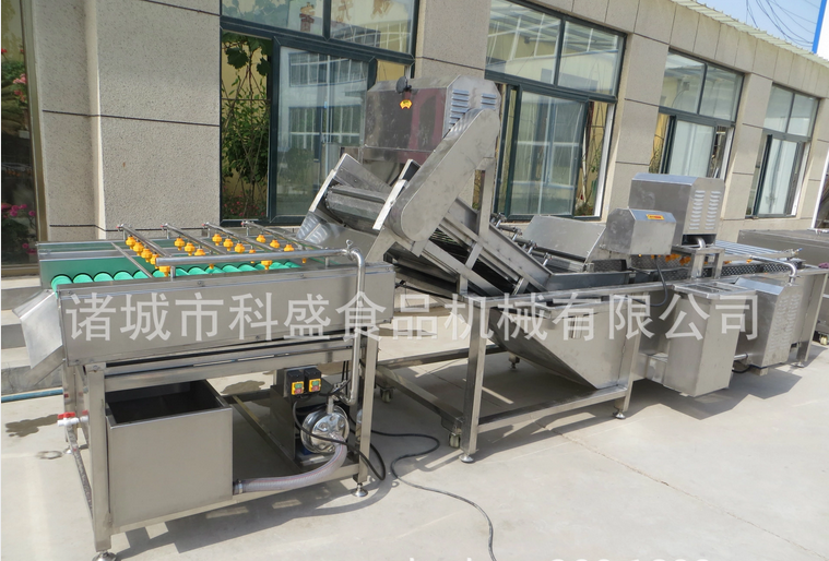 綿竹果蔬清洗去雜系列-綿竹全自動(dòng)不銹鋼果蔬清洗設(shè)備 根莖類蔬菜清洗機(jī)