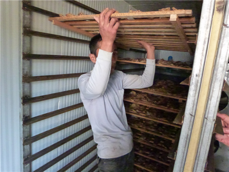 包裝袋表面水分烘干竹筍干燥設(shè)備