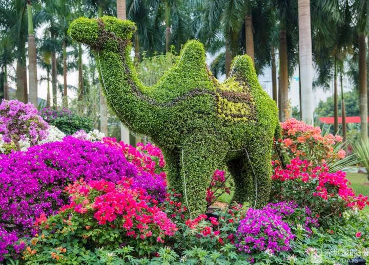 廣東深圳大型植物雕塑城市綠雕設(shè)計(jì)制作