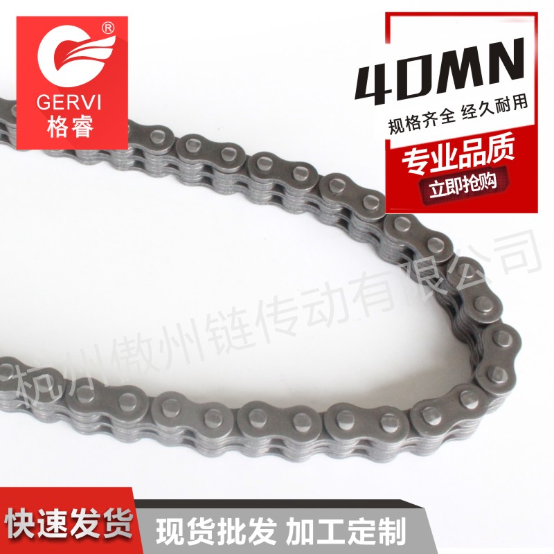 提升機(jī) 浙江板式鏈條廠生產(chǎn)供應(yīng) 板式鏈條 BL4034 板式鏈條 LH4034