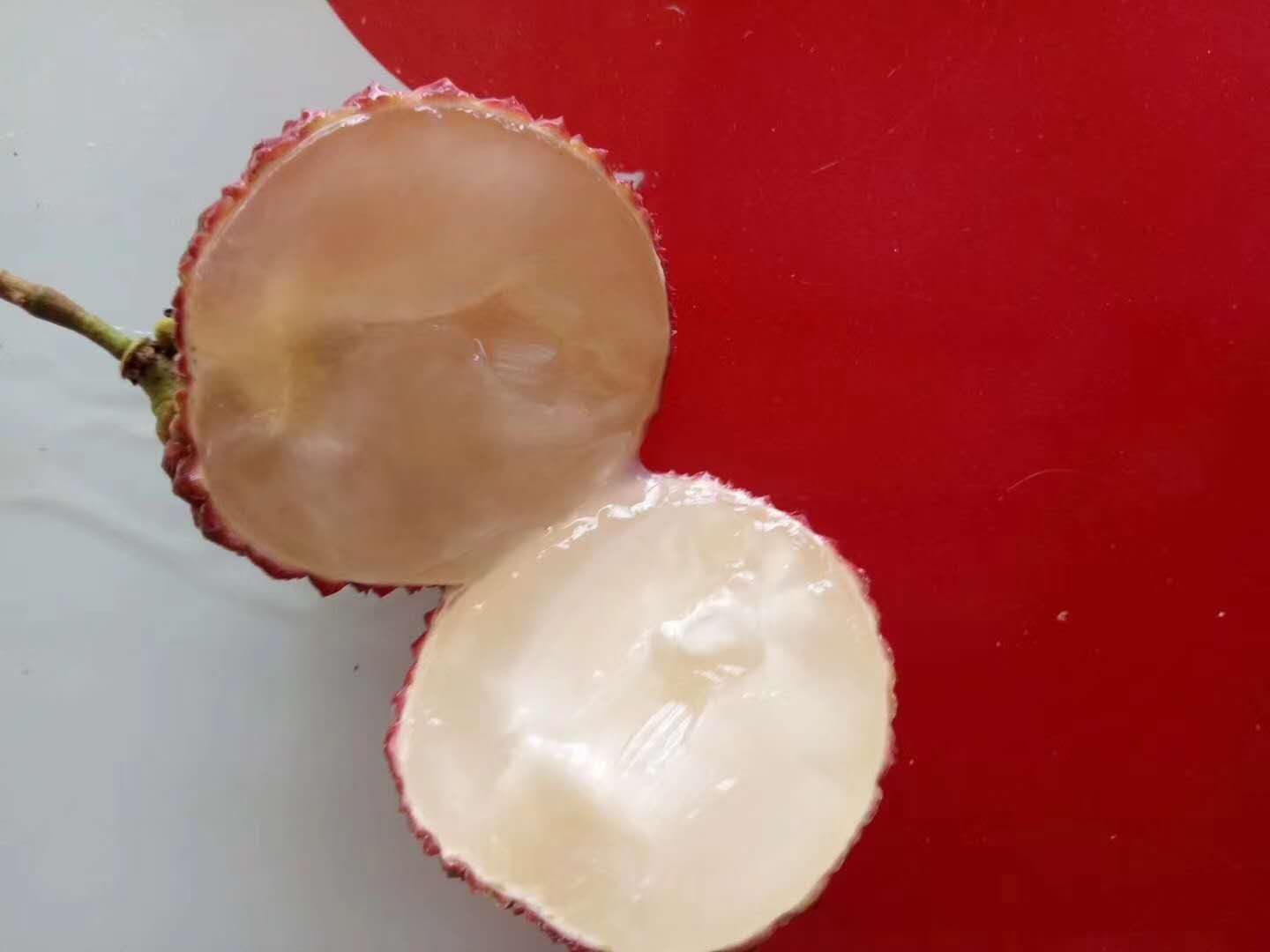 貴州省荔枝苗批發(fā)      六盤水市荔枝苗批發(fā)    畢節(jié)市荔枝苗批發(fā)    銅仁市荔枝苗批發(fā)