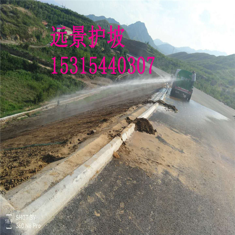 椰墊抗沖椰墊塑筋水保抗沖椰墊廠家*廣東河道護(hù)坡材料*惠