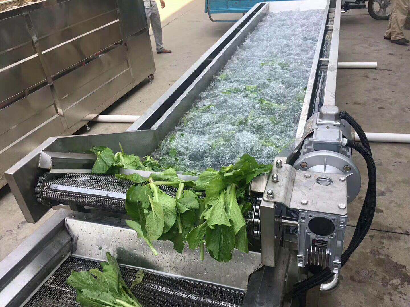 凈菜加工流水線  廠家供應(yīng)果蔬深加工設(shè)備 清洗風(fēng)干漂燙機(jī)器