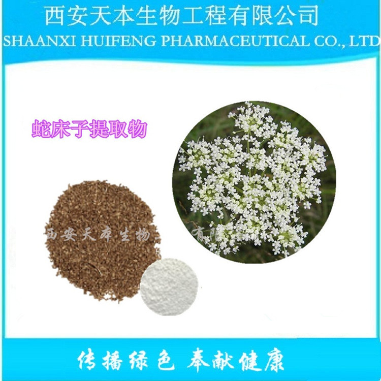 蛇床子提取物 廠家直銷 現(xiàn)貨包郵 蛇床子提取物 蛇床子素