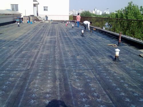 東莞屋頂防水堵漏 惠州屋頂防水堵漏 東城屋頂防水堵漏 虎門屋頂防水堵漏 長安屋頂防水堵漏 南城屋頂防水堵漏 萬江屋頂防水