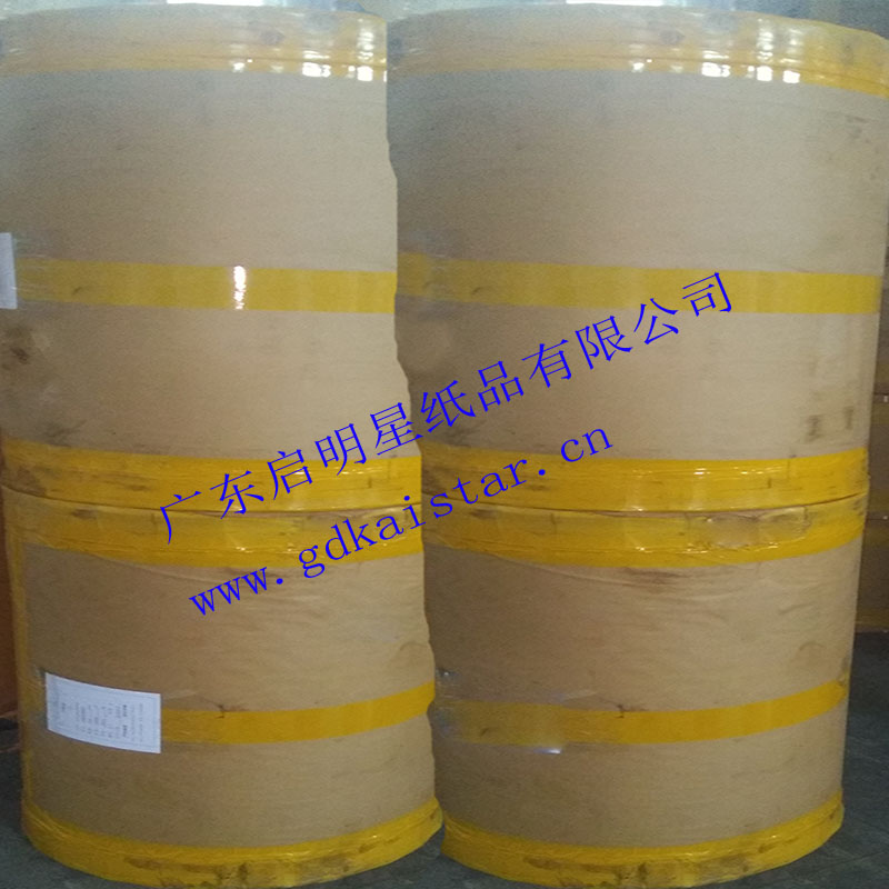 卷筒印刷紙30克字典紙圣經(jīng)紙